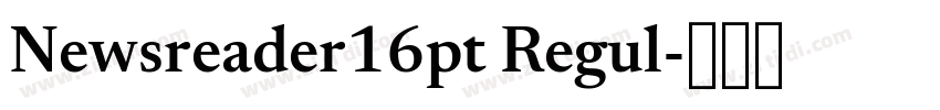 Newsreader16pt Regul字体转换 Newsreader16pt Regul字体转换